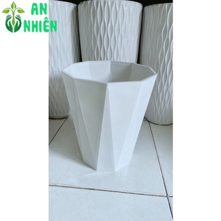 Chậu Trồng Cây (nhựa cao 30cm đường kính 24cm)