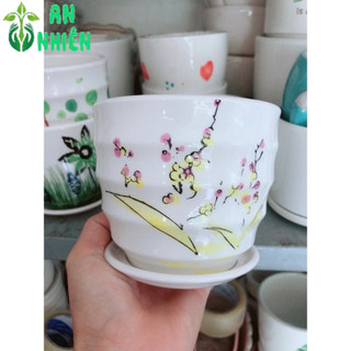 Chậu Trồng Cây 9-10cm(giao mẫu ngẫu nhiên)
