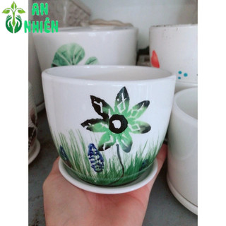 Chậu Trồng Cây 9-10cm(giao mẫu ngẫu nhiên)
