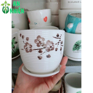 Chậu Trồng Cây 9-10cm(giao mẫu ngẫu nhiên)