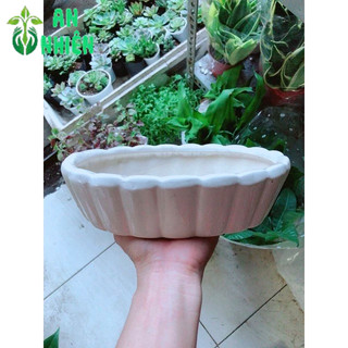 Chậu Trồng Cây