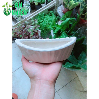 Chậu Trồng Cây