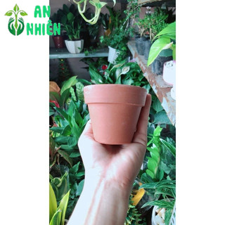 Chậu Đất Nung Trồng Cây