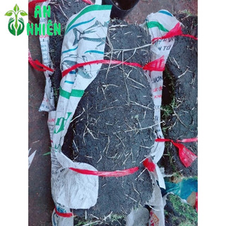 Cỏ Nhung 1M