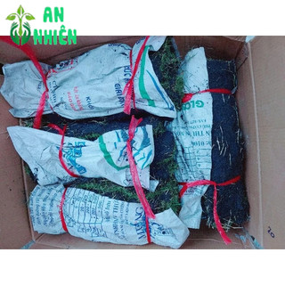 Cỏ Nhung 1M