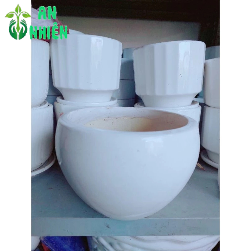 Chậu Trồng Cây 17cm