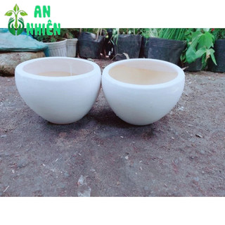 Chậu Trồng Cây 17cm