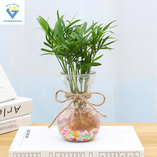 Lọ thủy tinh 350ml ( hũ thuỷ tinh thể tích dao động 300ml - 380ml) dùng làm Bình bông lọ hoa thủy tinh miệng loe