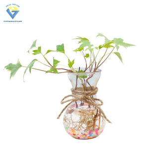 Lọ thủy tinh 350ml ( hũ thuỷ tinh thể tích dao động 300ml - 380ml) dùng làm Bình bông lọ hoa thủy tinh miệng loe