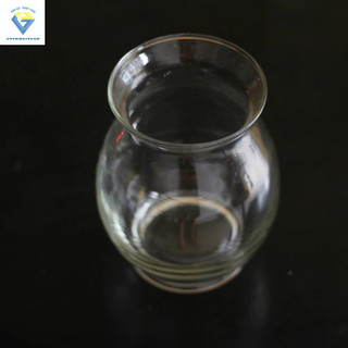 BÌNH BÔNG LỌ HOA THỦY TINH DÁNG BẦU DỤC LỚN (BDL)