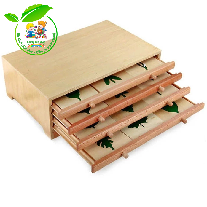 (Bản tiêu chuẩn) Tủ đựng mẫu lá cây - Botany Leaf Cabinet