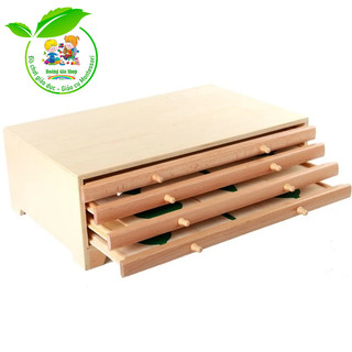 (Bản tiêu chuẩn) Tủ đựng mẫu lá cây - Botany Leaf Cabinet