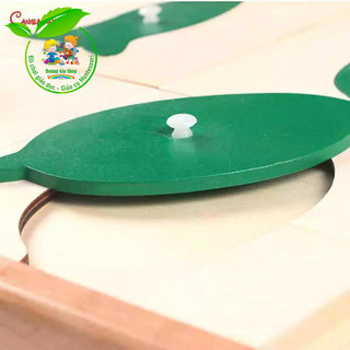 (Bản tiêu chuẩn) Tủ đựng mẫu lá cây - Botany Leaf Cabinet