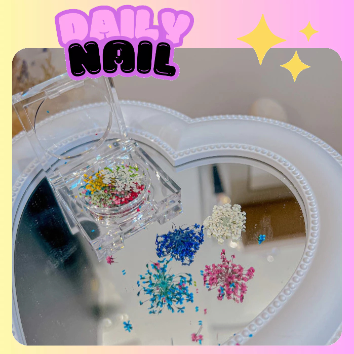Hoa khô ẩn móng Hàn Quốc Daily Nail - 🎀 DAILY NAIL 🎀