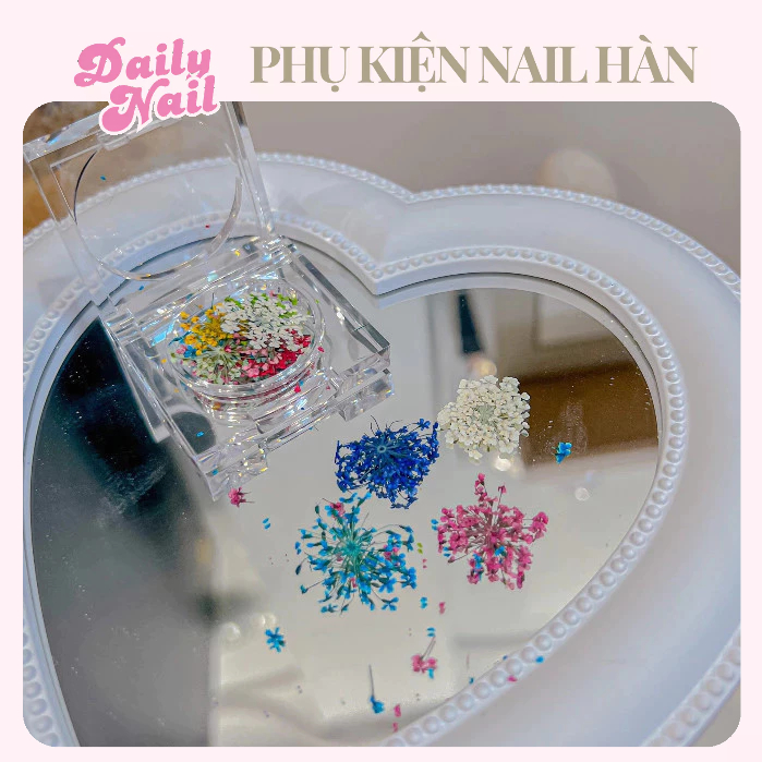 Hoa khô ẩn móng Hàn Quốc Daily Nail - Đồ Nail Daily 💅🏻