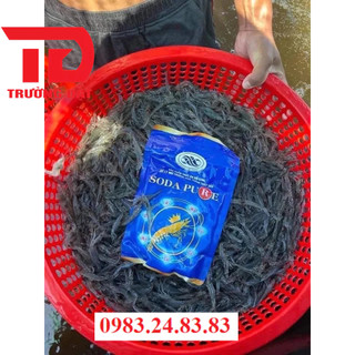 𝐒𝐎𝐃𝐀 𝐏𝐔𝐑𝐄 - 𝐁𝐎̂̉ 𝐒𝐔𝐍𝐆 𝐊𝐇𝐎𝐀́𝐍𝐆 Đ𝐀 𝐕𝐈 𝐋𝐔̛𝐎̛̣𝐍𝐆 𝐂𝐀𝐎 𝐂𝐀̂́𝐏 𝐂𝐇𝐎 𝐓𝐎̂𝐌 𝐔̛𝐎̛𝐍𝐆
