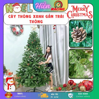 Cây Thông Noel 1M5,2M4 COLORADO Xanh Gắn Trái Thông Chân Sắt Tặng Kèm Sợi Kim Tuyến + 1 Ngôi Sao + Đế Giấy Trang Trí