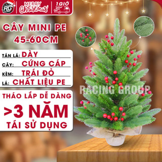 Cây Thông Noel Mini lá PE gắn trái đỏ 60cm, Cây Thông Để Bàn Làm Việc Trang Trí Giáng Sinh