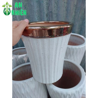 (Giao Hỏa Tốc) Chậu Trồng Cây (chậu sứ,cao 30cm lọt lòng 20cm)