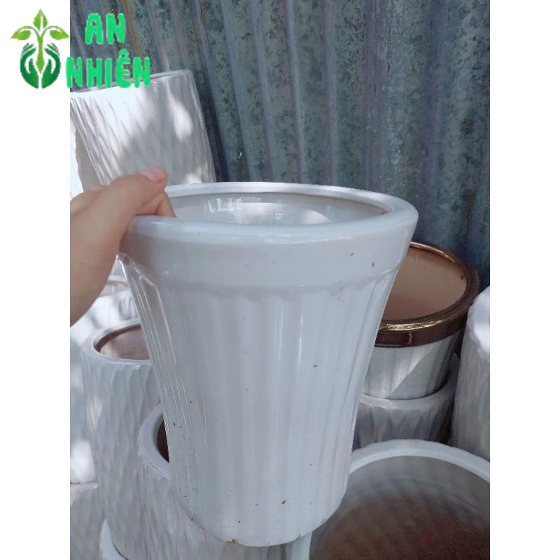 (Giao Hỏa Tốc) Chậu Trồng Cây (chậu sứ,cao 30cm lọt lòng 20cm)