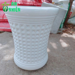 (Giao Hỏa Tốc) Chậu Trồng Cây (chậu sứ,cao 30cm lọt lòng 20cm)