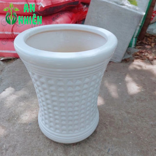 (Giao Hỏa Tốc) Chậu Trồng Cây (chậu sứ,cao 30cm lọt lòng 20cm)