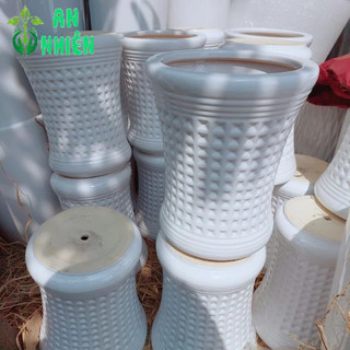 (Giao Hỏa Tốc) Chậu Trồng Cây (chậu sứ,cao 30cm lọt lòng 20cm)