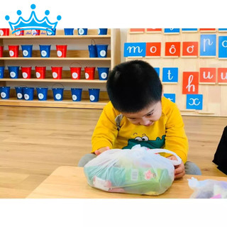 Xô âm Tiếng Việt Montessori
