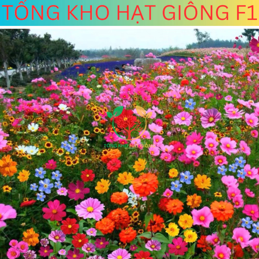 Tổng Hợp 21 loại hạt giống hoa dễ trồng đủ màu trong 1 gói (Tặng phân bón)