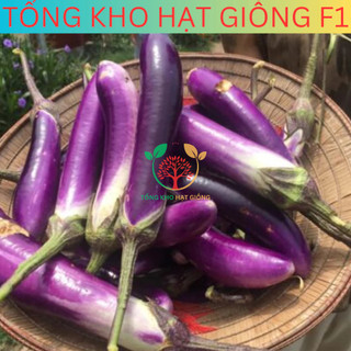 [30 Hạt] Hạt giống cà tím dài siêu trái ( tặng kèm phân bón )