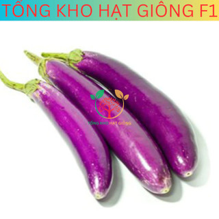 [30 Hạt] Hạt giống cà tím dài siêu trái ( tặng kèm phân bón )