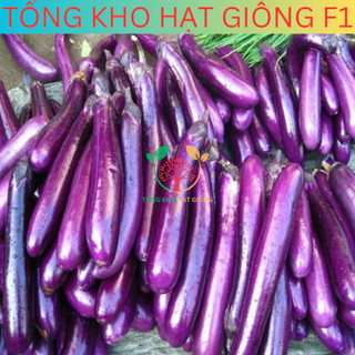 [30 Hạt] Hạt giống cà tím dài siêu trái ( tặng kèm phân bón )
