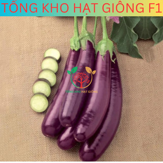 [30 Hạt] Hạt giống cà tím dài siêu trái ( tặng kèm phân bón )