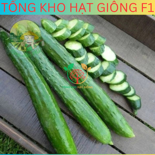 20 Hạt giống dưa chuột nhật siêu trái (tặng kèm phân)
