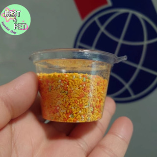 Cốm Vitamin thức ăn hamster