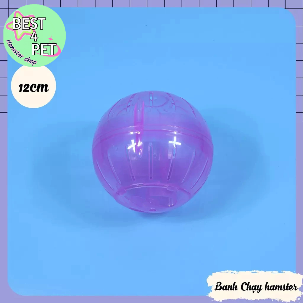 Banh Chạy cho Hamster