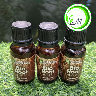 Kích rễ cực mạnh Bio root 20ml