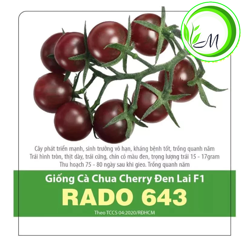 Hạt giống cà chua cherry đen
