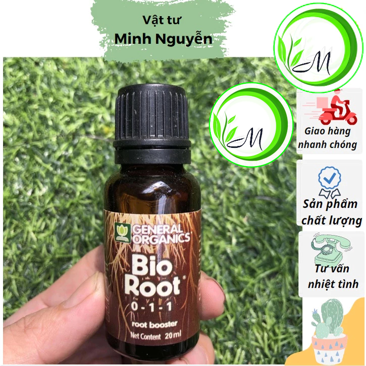 Kích rễ cực mạnh Bio root 20ml