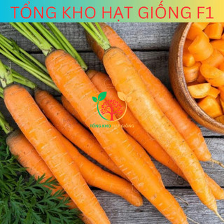 Hạt giống củ cà rốt cao sản 5gr (tặng phân bón)