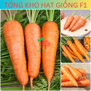Hạt giống củ cà rốt cao sản 5gr (tặng phân bón)
