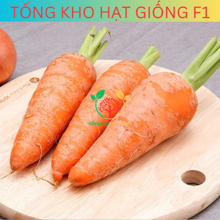 Hạt giống củ cà rốt cao sản 5gr (tặng phân bón)