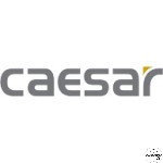 Vòi Lạnh Gắn Tường CAESAR WP037C - Có Mỏ