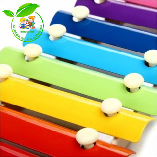 Xylophone đàn 8 âm cho bé