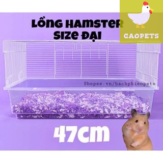 Lồng hamster size đại 47cm, lồng cho chuột lang, bọ ú, lồng nhím (không kèm phụ kiện) - Caopets