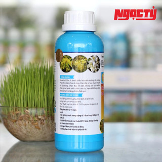BACLO Sữa của GLOBAL FARM giúp ngắn lóng lùn cây, cứng cây đứng lá