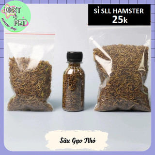 Sâu Gạo MINI Sấy thức ăn hamster