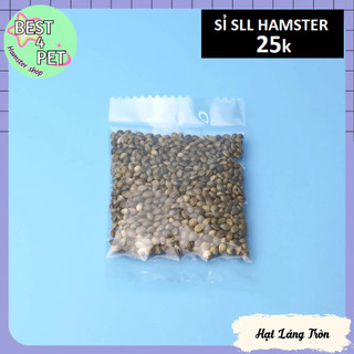 Thức Ăn Hamster dùng thử_link 2