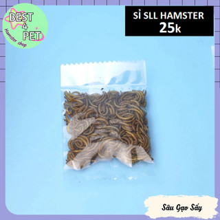 Thức Ăn Hamster dùng thử_link 2
