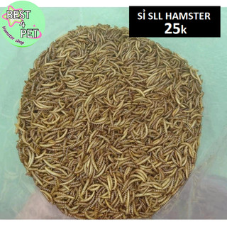 Sâu Gạo MINI Sấy thức ăn hamster